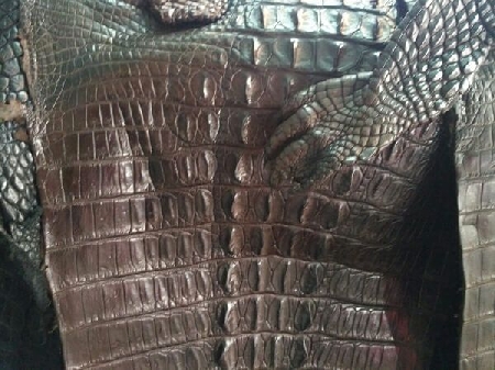 Da cá sấu dùng làm thắt lưng luôn được ưa chuộng - các loại dây nịt nam da cá sấu nam trang trọng, quý phái. Sự kết hợp của phụ kiện này đã tạo nên những điểm nhấn nổi bật cho bộ trang phục của người sở hữu, hấp dẫn ánh nhìn cho người s�