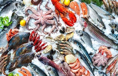 Khử mùi tanh khi chế biến hải sản dễ dàng - ức khỏe người dùng.
Theo BS Nguyễn Tiến Lâm – Trưởng Khoa Virus Ký sinh trùng (Bệnh viện Bệnh Nhiệt đới Trung ương), hải sản là loại thực phẩm rất tốt cho sức khỏe. Tuy nhiên, khi chế biến cá
